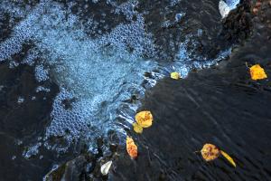 La CHD convoca el VII Concurso de Fotografía Digital con motivo del Día Mundial del Agua bajo el lema ‘Duero y biodiversidad’